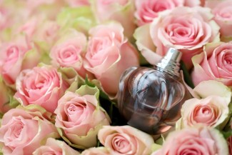 10 Parfum Termahal di Dunia, Nggak Main-main Ada yang Sampai Rp23 M