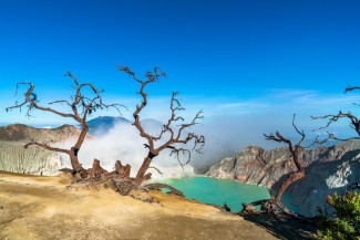 Liburan Akhir Tahun di Banyuwangi, Ini Tempat Wisata Halal yang Menarik