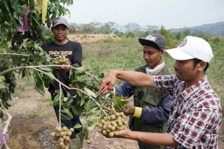 PT SIG Beri Pendampingan pada 361 Petani Pesanggem di Rembang