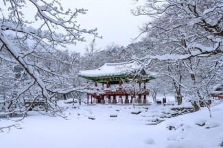 Inspirasi Liburan Musim Dingin di Korea Selatan, Menikmati Alam dan Street Food