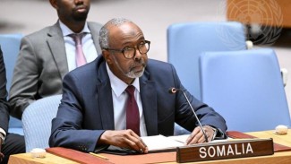 Somalia Bawa Isu Kemanusiaan Gaza dalam Debut di DK PBB