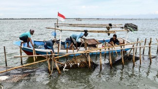 Menteri KKP Tegaskan Pagar Laut di Bekasi dan Tangerang Ilegal, Akan Dibongkar Rabu