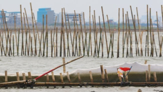 Pagar Laut Tangerang, Komisi IV Sebut Ada Potensi Kerugian Negara Rp300 Triliun
