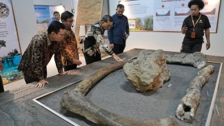 Telusuri Jejak Manusia Purba di Masa Awal Sejarah di Sangiran, Menteri Kebudayaan Tekankan Komitmen Pemerintah Bangun Literasi Sejarah Peradaban Bangsa