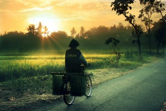 Kolom Hikmah Petunjuk-Nya: Manfaatkan Pagi Untuk Raih Berkah Yang Tak Terbatas