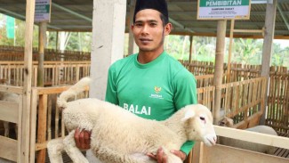 Kurban Online BAZNAS 2025: Praktis, Aman, dan Sesuai Syariah Lewat 30+ Platform Digital