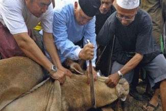 Rumus Pembagian Daging Kurban: Tukang Potong Diberi Upah Tersendiri