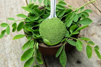 Daun Kelor Bermanfaat Bagi Kulit untuk Perlambat Penuaan