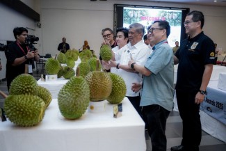 Musang King: King of Kings Dalam Kejuaraan Durian Dunia 2025