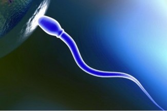 Al-Qur’an Menjawab Perdebatan Asal Usul Manusia dengan Nuansa Prioritas dan Spirit Ilmiah