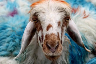 Mengubah Sedekah Menjadi Investasi Pahala Tanpa Batas Waktu