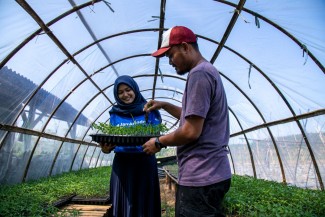 Jamkrindo Bukukan Penjaminan Rp35,78 Triliun untuk Pertanian, UMKM Kian Berdaya