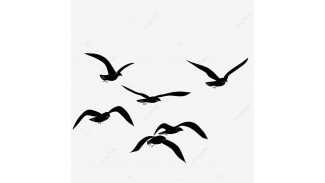 CahayaDhuha: Ilmu Itu Seperti Binatang Buruan