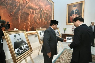 Prabowo Ceritakan Kelahiran Bayi Panda ‘Rio’ Saat Terima Ketua MPR China di Istana