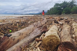 Jejak Hijau Islam: Ketika Ibadah Bertemu Krisis Ekologi