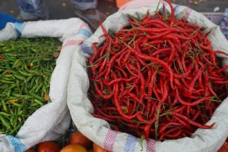 Pemprov DKI Beli 1,4 Ton Cabai dari Aceh dan Sepakat Lakukan Contract Farming