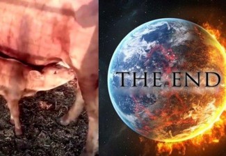 Membaca Arah Zaman: Jejak Masa Depan dalam Khotbah Sehari Penuh Nabi