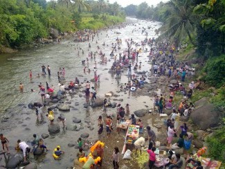 Balimau, Tradisi Mandi Jeruk Nipis di Sumbar Menyambut Ramadhan