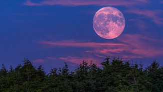 Menyusuri Keindahan Fenomena Pink Moon di Berbagai Belahan Dunia