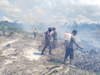 TNI AL Padamkan Karhutla di Sambas, Dua Hektare Lahan Berhasil Dikendalikan