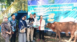 Semarak Qurban Muamalat 2026, Bank Muamalat Bagikan 109 Hewan Kurban di Berbagai Daerah