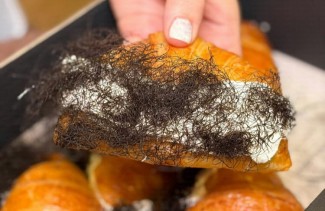 Viral Croissant Mirip Rambut Kemaluan, Bagaimana Status Kehalalannya?