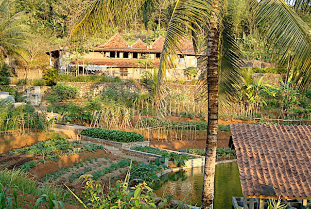 Usung Permakultur, Kebun Luas Ini Tak Bergantung pada PLN