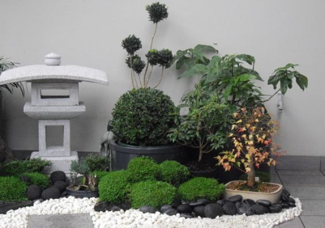 Hadirkan Nuansa Keheningan lewat Desain Taman Khas Jepang