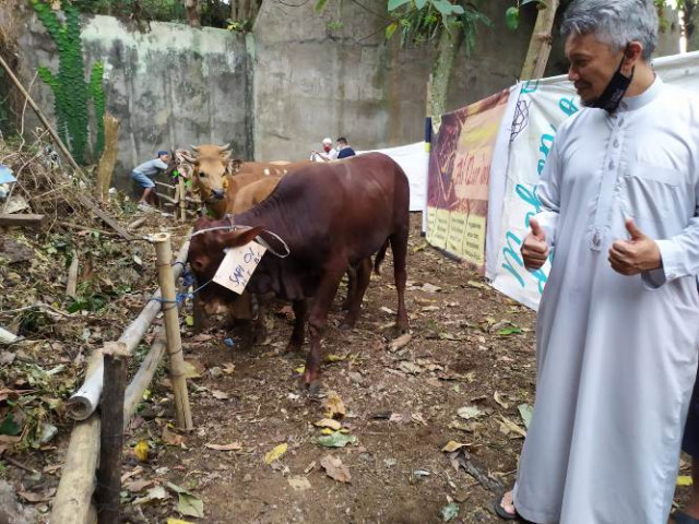 Koperasi Syariah BMI Berqurban 28 Ekor Sapi dan 52 Ekor Domba