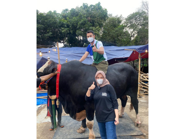 Bersaing dalam Kebaikan, Deretan Artis Turut Berderma Hewan Qurban