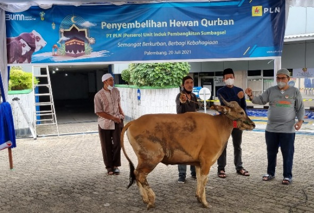 Bersyukur Lancar Terangi Negeri, PLN Sumbang 2.977 Hewan Qurban