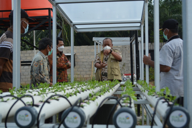 Tak Hanya Pelayanan Kelistrikan, PLN Turut Kembangkan Pertanian