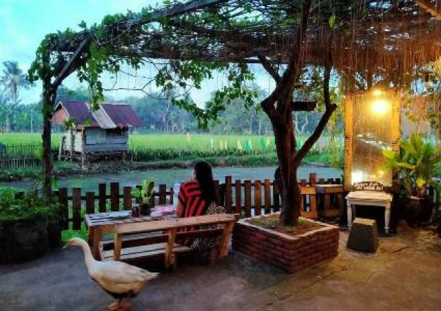 Gabungan Konsep Alam dan Seni dalam Rumah Kecil Makassar