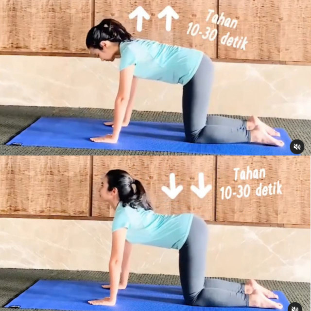 Latihan Gerak Ini Bikin Kerja di Rumah  Bebas Nyeri Punggung