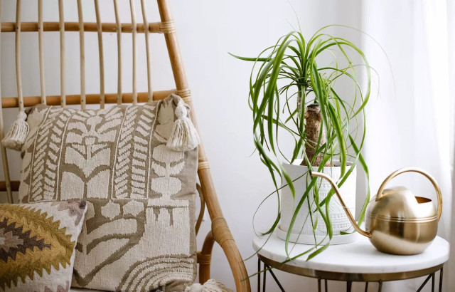 Palem dalam Ruang, Elok sekaligus Bikin Udara Bersih