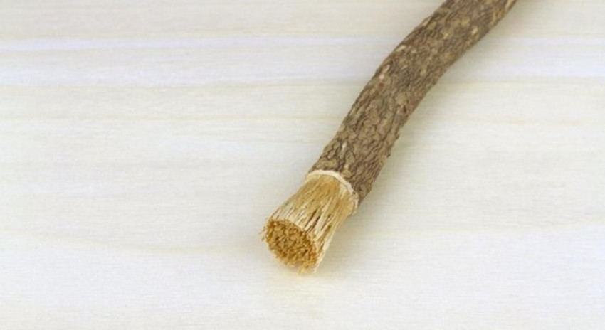 7 Alasan Siwak Relevan dari Zaman Rasulullah SAW hingga Kini