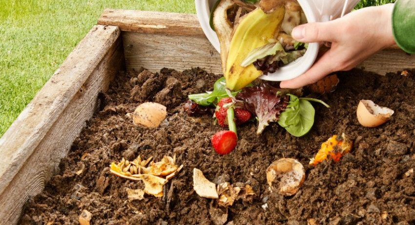 Sayangi Bumi, Mari Mulai Mengompos di Rumah