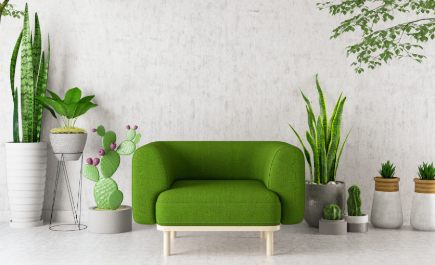 Tak Cuma Cantik, 7 Tanaman Hias Ini Sehatkan Udara Interior