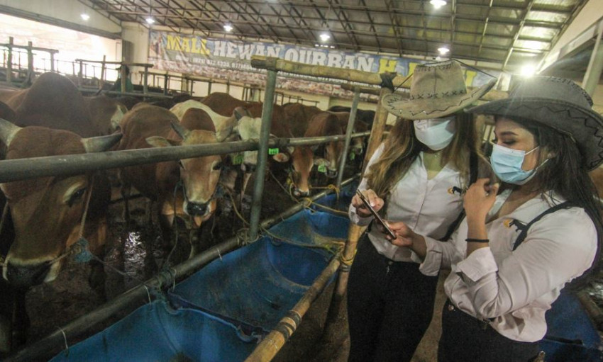 Idul Adha 2021, Dompet Dhuafa Kerjasama dengan Peternak Lokal