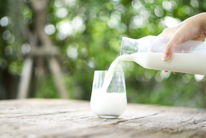 Tips Merawat Enzim Tubuh dengan Susu Hewani dan Nabati