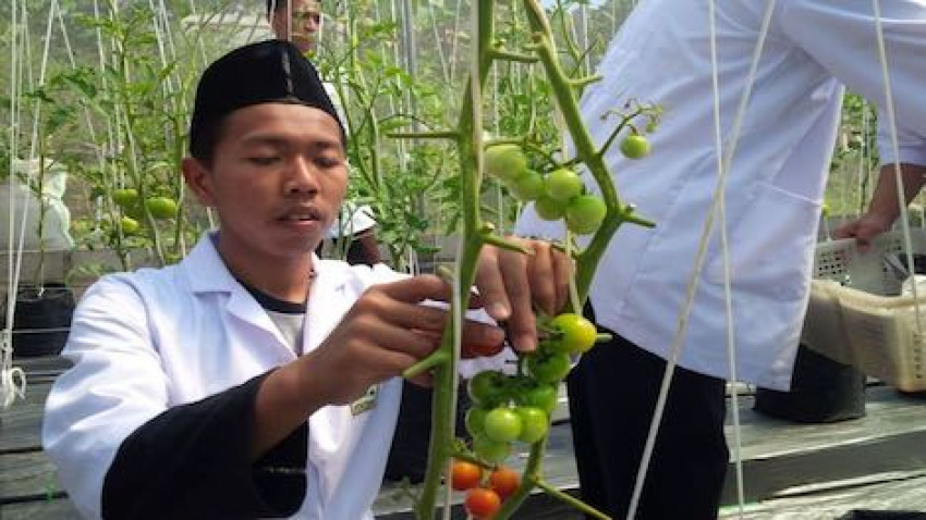 Kemenag Akan Beri Pelatihan Agribisnis untuk 109 Pesantren