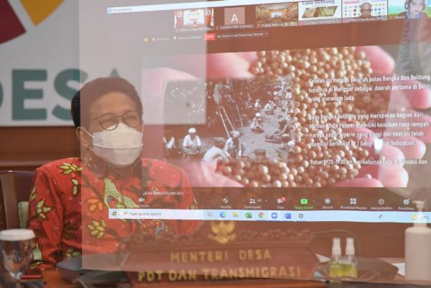 Kesulitan Akses Pasar, BUM Desa Harus Ambil Peran Pemasaran Lada Belitung