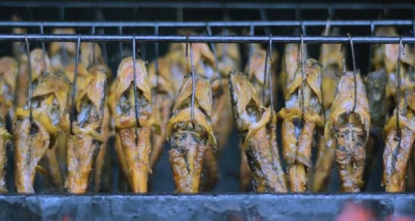 Kurangi Pengangguran, Berdayakan Emak-emak dari Nilai Tambah Produk Olahan Lele