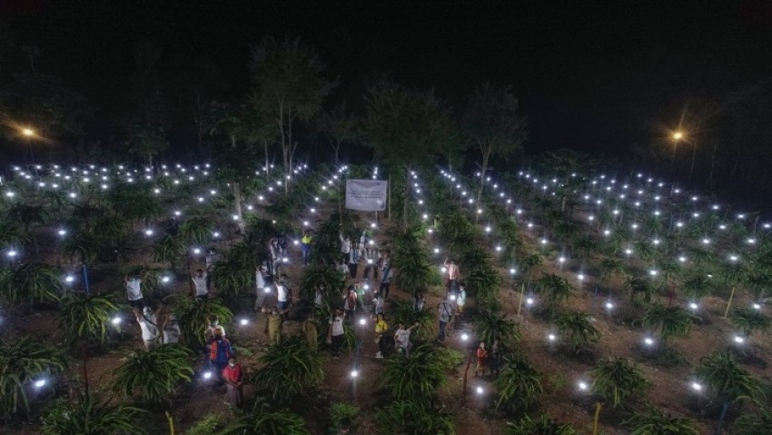 PLN Dorong Peningkatan Sektor Pertanian Lewat Energi Listrik