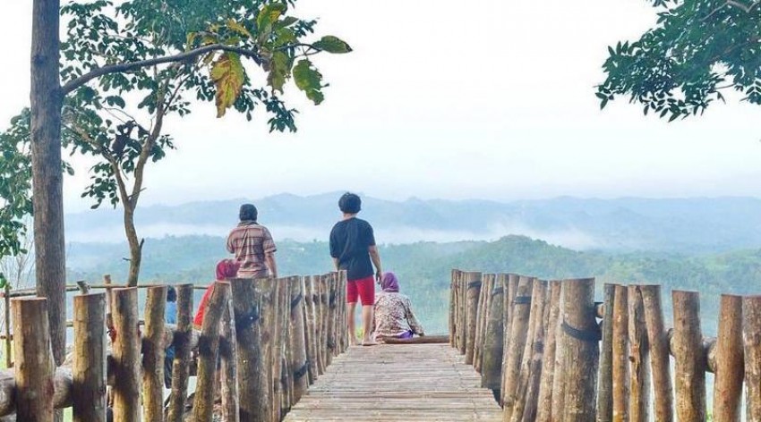 Pesona Hutan Pinus di Desa Wisata Kaki Langit Mangunan