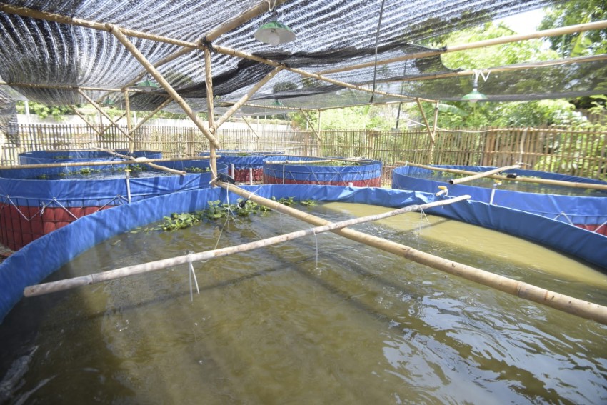 Ponpes Ihya Ulumuddin Cirebon Kembangkan Budidaya Ikan Bioflok