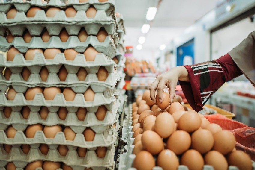 Pasokan Surplus, Harga Telur dan Daging Ayam Turun di Pasar-Pasar Jakarta