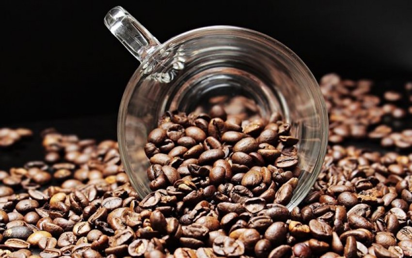 Konsumsi Meningkat, Pemerintah Tingkatkan Produksi Kopi Nasional