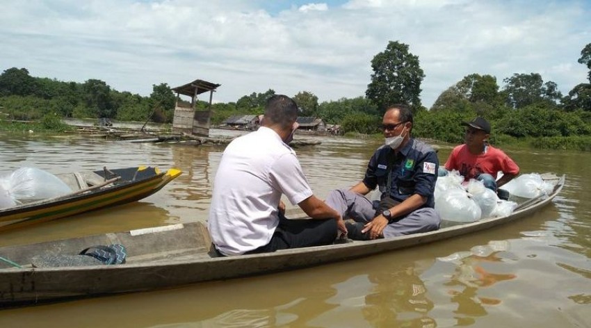 Jaga Ekosistem, 25.000 Benih Ikan Jelawat Ditebar di Sungai Pengumbak