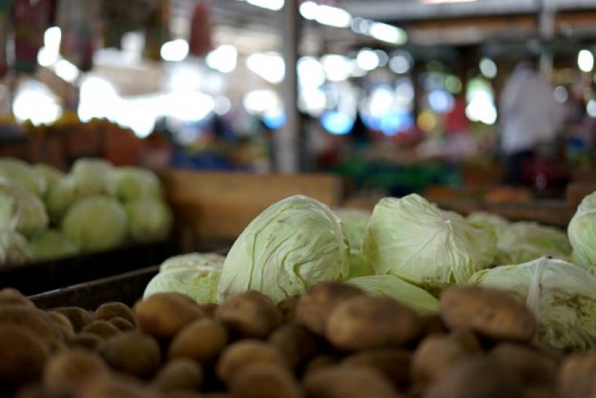 Kementan Siapkan Aplikasi Deteksi Ketersediaan Pangan